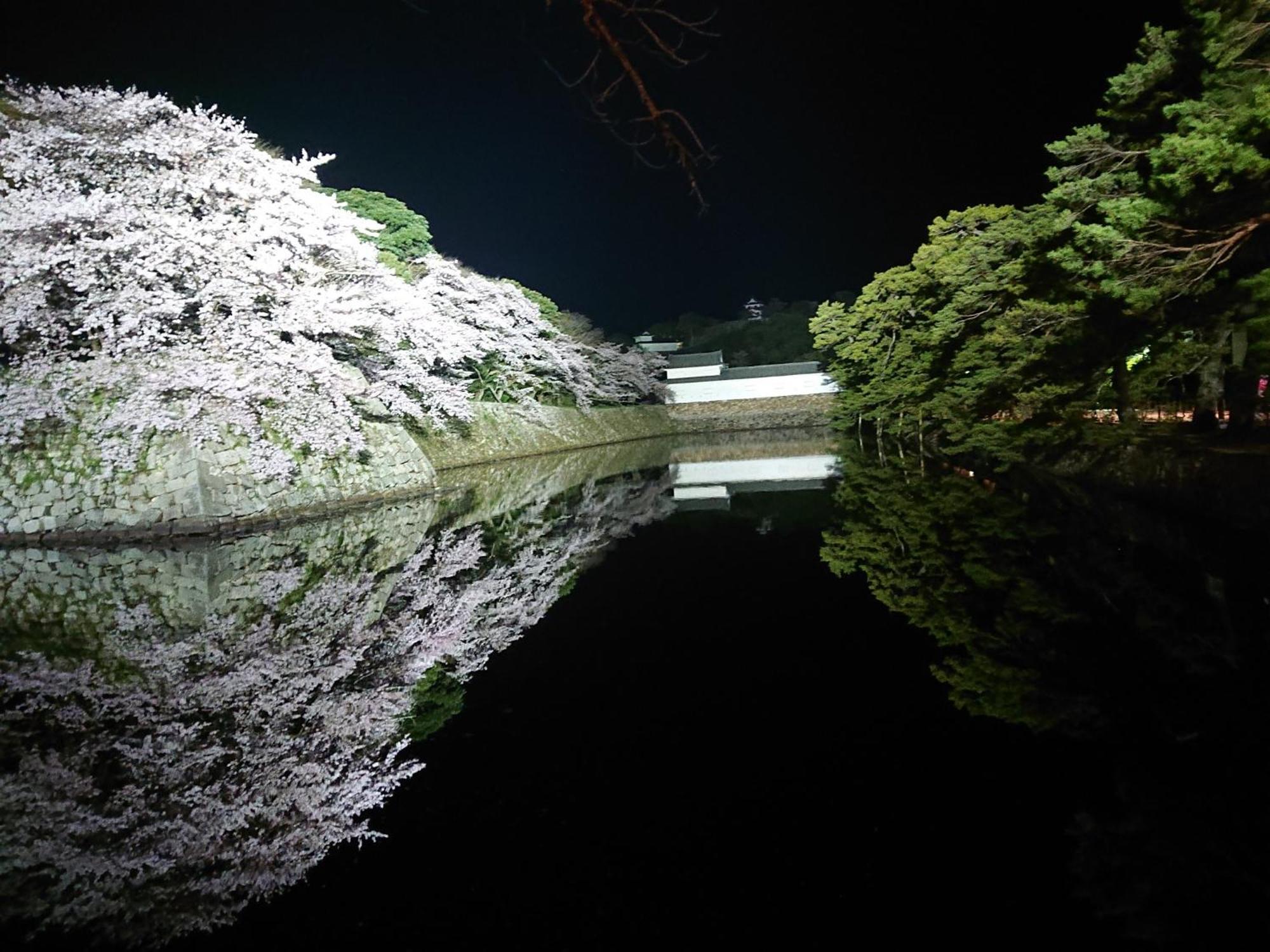 Lapus Honmachi No.200 / Vacation Stay 57908 Хіконе Екстер'єр фото